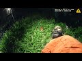 Drug Dealer’s Escape Ends in the Worst Way