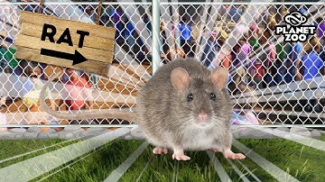 i made a zoo with the WORST animals in planet zoo