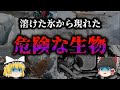 【ゆっくり解説】永久凍土から発見されたヤバい病原体
