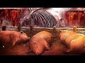КАК СВИНЬИ УНИЧТОЖИЛИ ЦЕЛЫЙ МИР В АТАКЕ ТИТАНОВ (1-4 СЕЗОН)