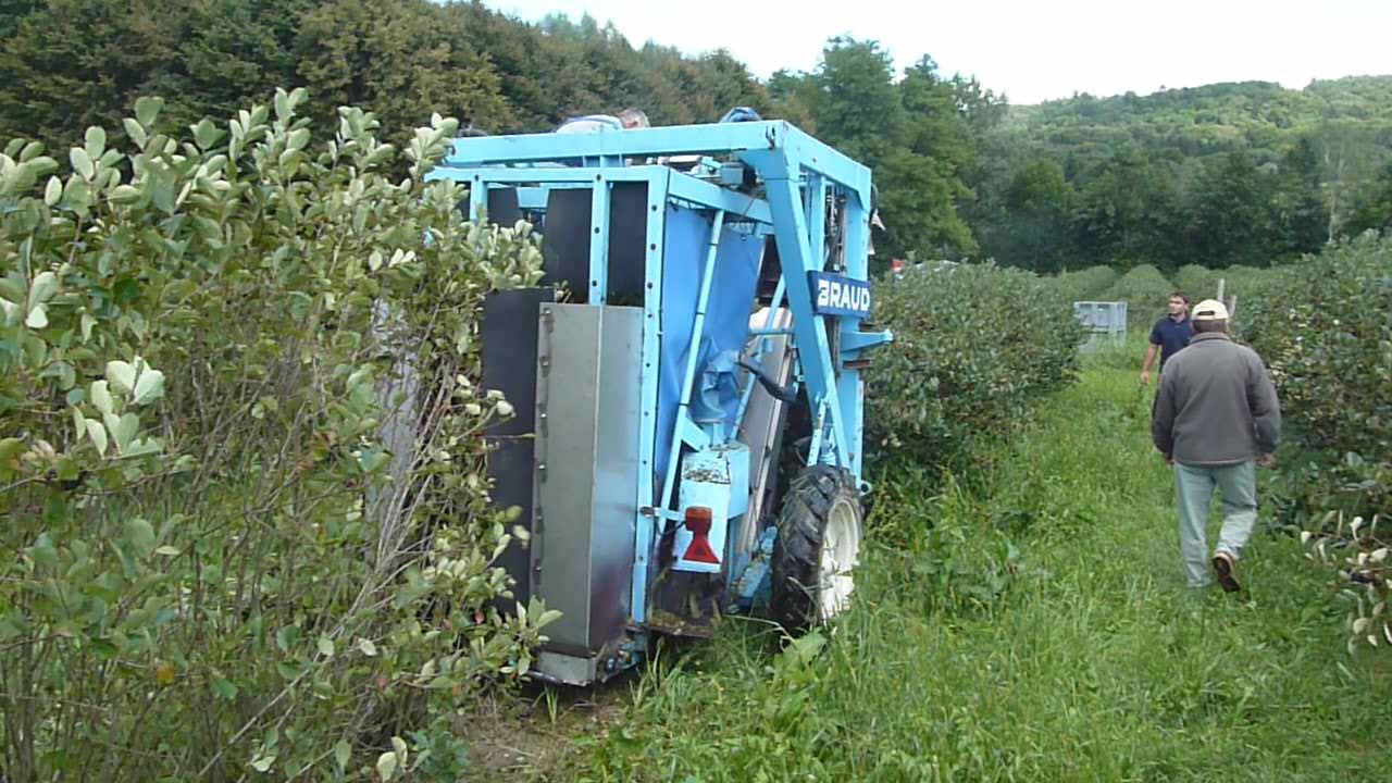 Braud 524 RH - maschinelle Ernte - Aroniabeere - Deutsch Haseldorf - Klöch