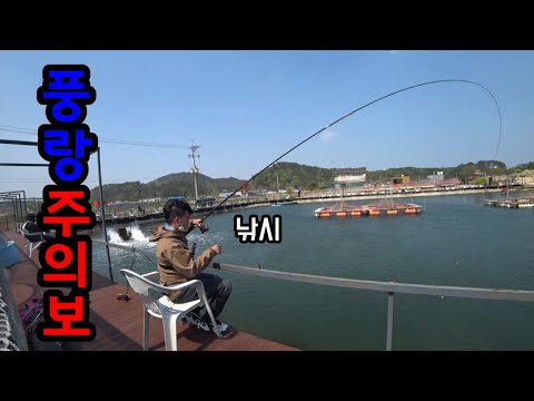 &amp;quot;풍랑주의보에도 할 수 있는 낚시터&amp;quot; 손맛 좋다!!!