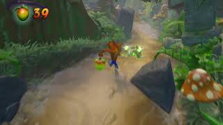 Turtle Woods special gem