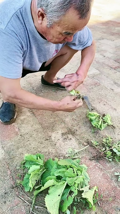 7392219285193641256.mp4