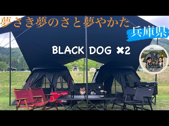 BLACK DOGで快適ワンタッツキャンプ - YouTube