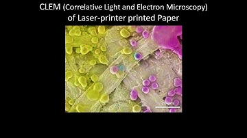 [Materials] CLEM (Correlative Light and Electron Microscopy) of Laser-printer printed Paper