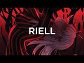 RIELL - Lie To Me
