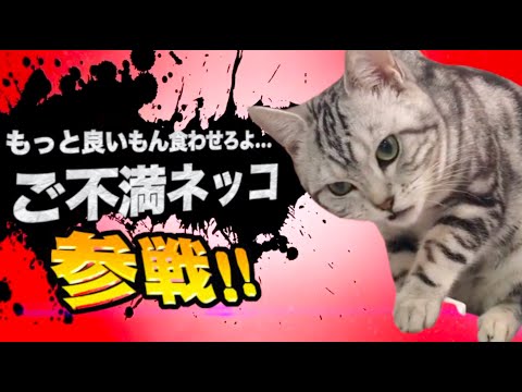 ヤバ過ぎネッコ全員参戦！！part94