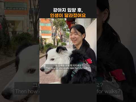 강아지를 입양했을 뿐인데, 모든 게 달라졌어요 📸