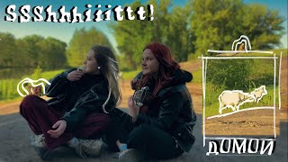 картинка: ssshhhiiittt! - домой (ультра кавер с козочками и пастухом на горе)