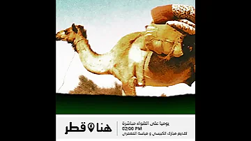 هنا قطر يوميا عند الساعة الثانية ظهرا 