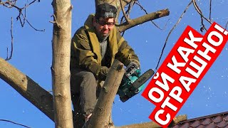 картинка: ФОРСИРОВАННАЯ Аккумуляторная Пила Makita DUC356