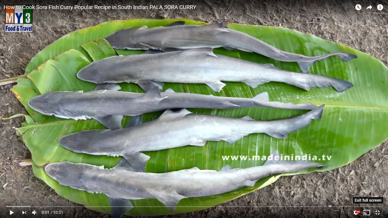 Village Style Shark Fish Curry | How to Cook Sora Fish Curry | Popular Recipe in South Indian | STREET FOOD