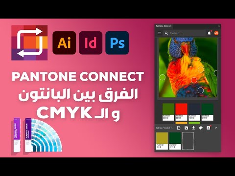 الإضافة الرهيبة   والفرق بين  والبانتون