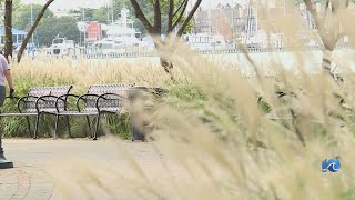 Community input needed to help shape the future of Norfolk's trails