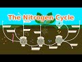 Understanding Our Soil The Nitrogen Cycle Fixers And Fertilizer Understanding Our Soil The Nitrogen Cycle Fixers And Fertilizer