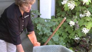 Flood Recovery: Cleaning Tips