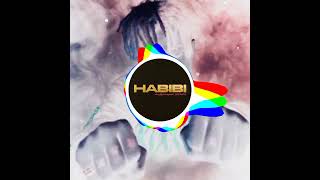 Music Name:- Habibi........Song by:- Latverzyla........ Habibi bass boosted 🔊🔊🛑#video