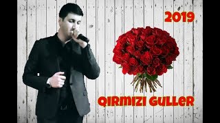 Memo Borcali - Qirmizi Guller Resimi