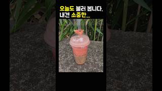 오늘도 불러 봅니다. 내겐 소중한... #담양 #수박주스 #국밥 #소나기 #이클립스 #kpop #담양 죽녹원 #kdrama #선재업고튀어