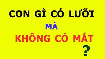 Các câu đố mẹo ngắn khiến bạn căng não-Phần 2