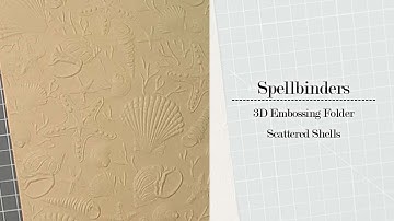 Spellbinders | 3D Embossing Folder - Scattered Shells (June 2023)