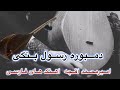 آهنگ های زیر خاکی قدیمی امیرمحمد آقچه دمبوره رسول بنگی آهنگ های زیر خاکی قدیمی امیرمحمد آقچه دمبوره رسول بنگی