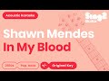 In My Blood (Acoustic Guitar Karaoke Instrumental) Shawn Mendes