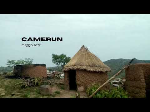 Video: Come è iniziato il boko haram?