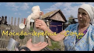 Спонтанная поездка на ЮГ. Влог с Леонадзе