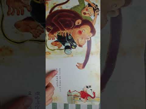 우리 집은 동물원