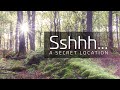 Landscape Photography - Sshhh Secret Location // Woodland Photography // The Lake District