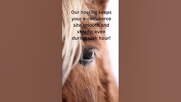 Supercharge Your Small Business!