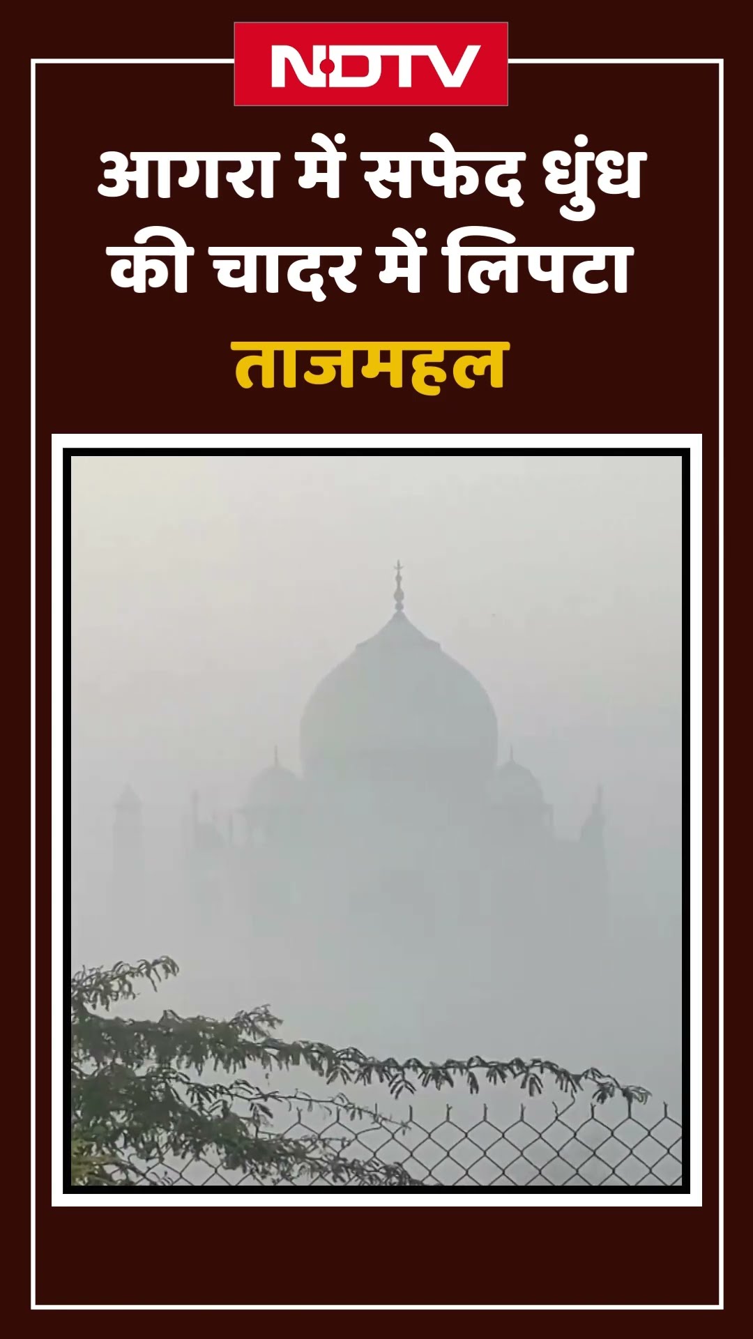 Agra में सफेद धुंध की चादर में लिपटा Taj Mahal | Agra AQI | UP News | Shorts