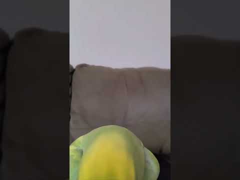 playing peek a