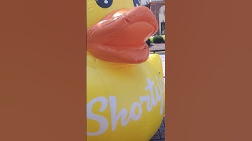 BIG Rubber Ducky #rubberducky  #shorts #subscribe
