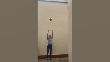 Ball Toss Video Reference - PHYS 23