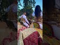   فارس الشاب بشير