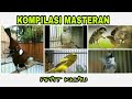 Kompilasi Masteran Burung Berkicau Suara Cililin Kapas Tembak Gereja Tarung Kenari Ciblek Mp3 - Mp4 Download