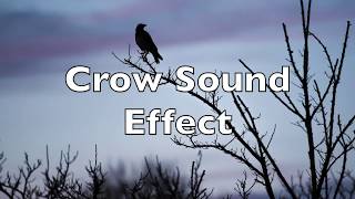 Crow Sound Effect - HD Quality
