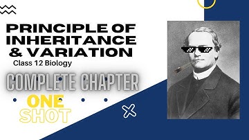 Principle of Inheritance and Variation Complete Chapter | Class 12 | NEET