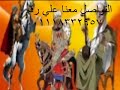 السيرة الهلالية حفلات نادره للشاعر جابر ابو حسين قصه محاكمة مخيمر 3