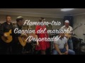 Desperado -Cancion del mariachi (cover)