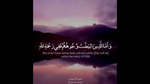 يوم تبيض وجوه وتسود وجوه حالات واتس اب دينية تلاوة عذبة ترد الروح