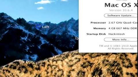 Snow Leopard Running on PC