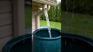 Free Water at Home 💧 Rainwater Harvesting Made Simple!