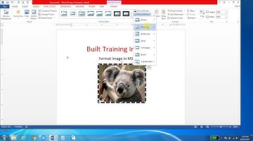 Picture formatting in Ms word 2016 Tutorial for Beginner in Hindi Urdu
