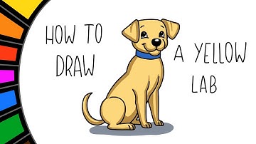 HOW TO DRAW a Yellow Lab - Easy drawing for kids - New video look