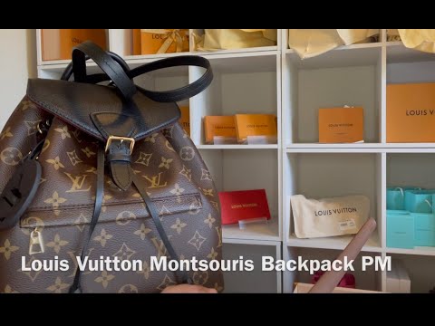 Louis Vuitton New 2020 Monogram Noir Montsouris PM Backpack 