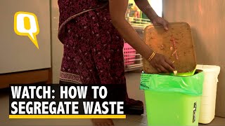 Want to Save the Environment? Begin Segregating Waste